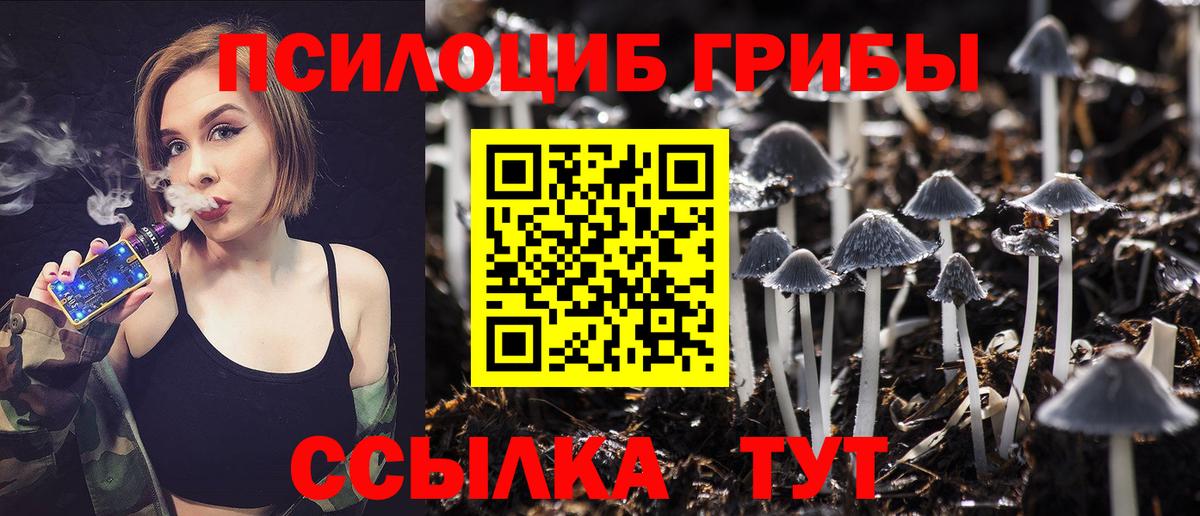 Псилоцибиновые грибы Psilocybe  Вход с VPN  Галлюциногенные грибы мицелий  наркота  Арзамас 